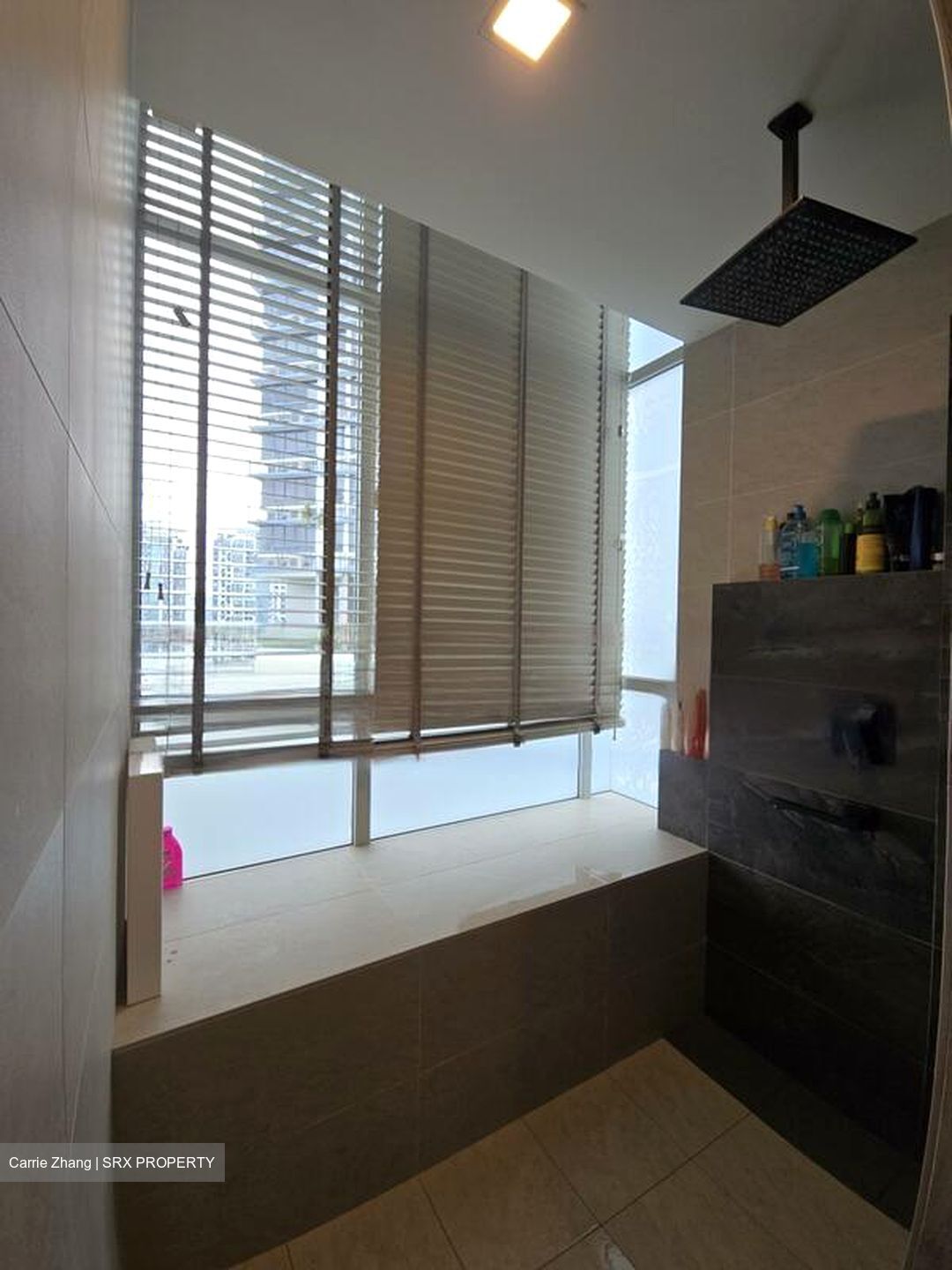 One Saint Michael's (D12), Condominium #460934931